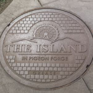 Custom Lettered Cover